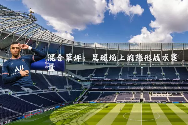 混合草坪：足球场上的隐形战术变量